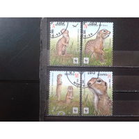 2015 Суслики WWF Полная серия