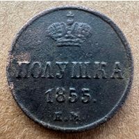 Полушка 1855