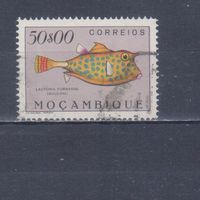 [511] Португальский Мозамбик 1951. Фауна.Рыба.50 э. Концовка серии. Гашеная марка. Кат.гаш.15 е.