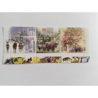 Беларусь 2009 бл  600 лет Беловежской пуще