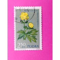 Польша. Цветы. ( 1 марка ) 1962 года. 4-8.