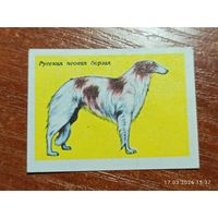 Спичечная этикетка Русская псовая борзая