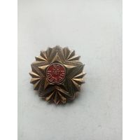 ЗНАК 30 ЛЕТ ПОБЕДЫ СССР