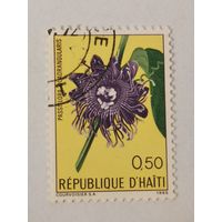 Гаитянские цветы - Страстоцвет четырёхгранный (Passiflora quadrangularis)