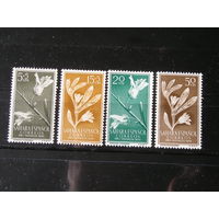 Испанская Сахара 1956, Цветы