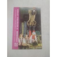 Карманный календарик. Страхование. 1982 год