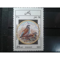 Афганистан, 1985. Чукарские куропатки**
