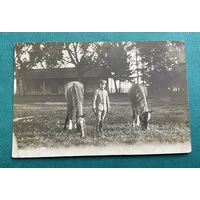 Фотооткрытка 1 МВ Германия офицер в униформе с лошадьми / полевой лагерь