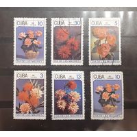 Куба. 1987 год. Флора. Цветы (217)