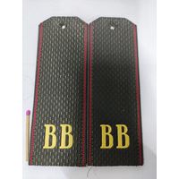 Погоны ВВ внутренние войска. 14 см