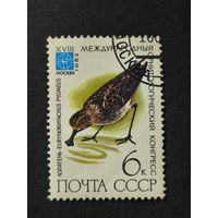 1982 СССР. 18й международный орнитологический конгресс. Птицы. Лопатень