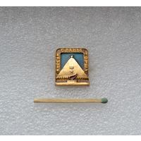 Курган славы г. Орша.