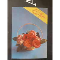 Зеленова 8 Марта