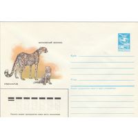 СССР 1985 МХК Гепард Московский зоопарк (к2а1)