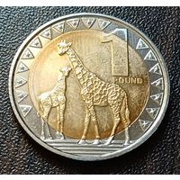 Южный Судан 1 фунт, 2015
