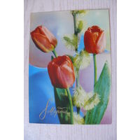 Костенко Г., 8 Марта; 1973, чистая, ДМПК.