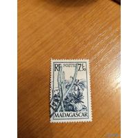 Французская колония Мадагаскар флора кактусы (1-9)