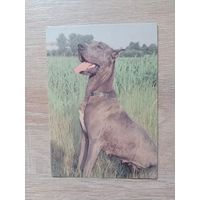 Календарик 1993