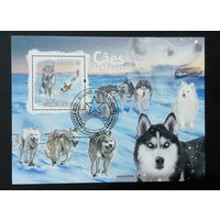 ФАУНА СОБАКИ ПОРОДЫ СОБАК ЖИВОТНЫЕ     БЛОК  сто