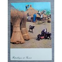 Этнография. Гвинея. Строительство в деревне