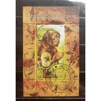 Марка (блок) ДРЕВНИЙ ЧЕЛОВЕК. 2009 год. Республика Конго. Новая