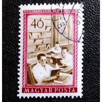 Марка Венгрия 1955 год 10 лет освобождения