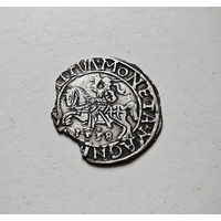 Полугрош 1558 г. Сигизмунд II Август, Вильно, лот рп-9,6