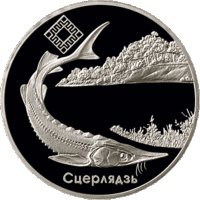 Торги. Серебро. Стерлядь, Заказник Днепро-Сожский . 20 рублей 2007 год . Заказнік "Днепра – Сожскі .