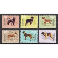 Португалия 1981 ** Фауна  Породы португальских собак