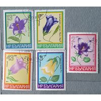 Болгария цветы 5шт