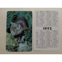 Карманный календарик. Котик.1992 год