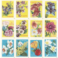 Спичечные этикетки. Сувенирный набор. 8 Марта. 1982 год