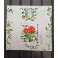 ЛИСТ ФЛОРА ЦВЕТЫ ГРИБЫ  СТО