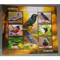 СЕРИЯ Блоков птицы  фауна MNH