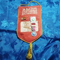 Памятный вымпел ЦК ДОСААФ СССР за высокие спортивные достижения Всесоюзные спортивные игры молодежи 1989 и значки с ним