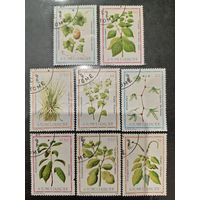 Сан Томе 1983. Флора. Растения