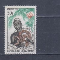 [2299] Дагомея 1963. Культура и быт.Мужчина с питоном.50 ф. Гашеная марка.