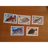 1983 СССР Загорский 5346-5350 фауна моря  рыбы чистая полная серия MNH** (с-2)