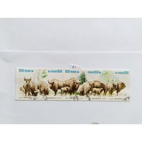 Польша 1981 5 м сц. зубры