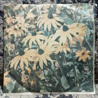 Георгий Виноградов; А. Иванов-Крамской, Н. Кручинин (гитары), Н. Вальтер, К. Виноградов (ф-но) - Старинные романсы - АЗГ, 1969 г.