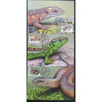 Беларусь 2018 КМ Рептилии.