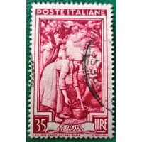 Италия 1950. Сборщики оливок