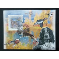 ФАУНА СОБАКИ ПОРОДЫ СОБАК ЖИВОТНЫЕ     БЛОК  сто