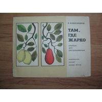 Раскраска "Там, где жарко", 1973. Художник Т. Цинская.