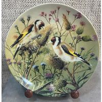 Декоративная настенная тарелка Tirschenreuth Поиск пищи в чертополохе. Из серии Самые красивые портреты птиц Карла-Ганса Бёзе. Германия 1995 год. 19.5 см