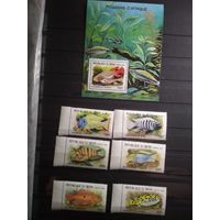 Бенин 2001 г. Рыбы.