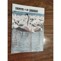 Юный натуралист 1977, вып. 3