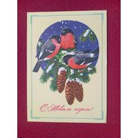 С Новым Годом! Куртенко 1979 г. Чистая.