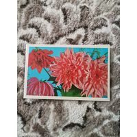 Открытка СССР 1972 С днем рождения!