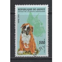 Фауна Собаки Гвинея 1996 Домашние животные  Used